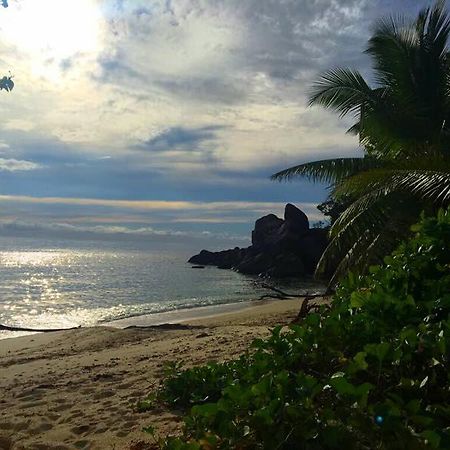 Villas Du Voyageur Grand Anse  Luaran gambar