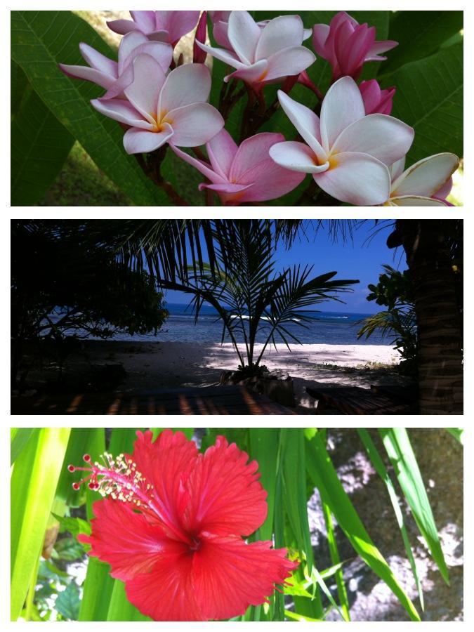 Villas Du Voyageur Grand Anse  Luaran gambar