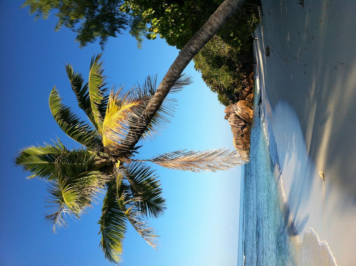 Villas Du Voyageur Grand Anse  Luaran gambar