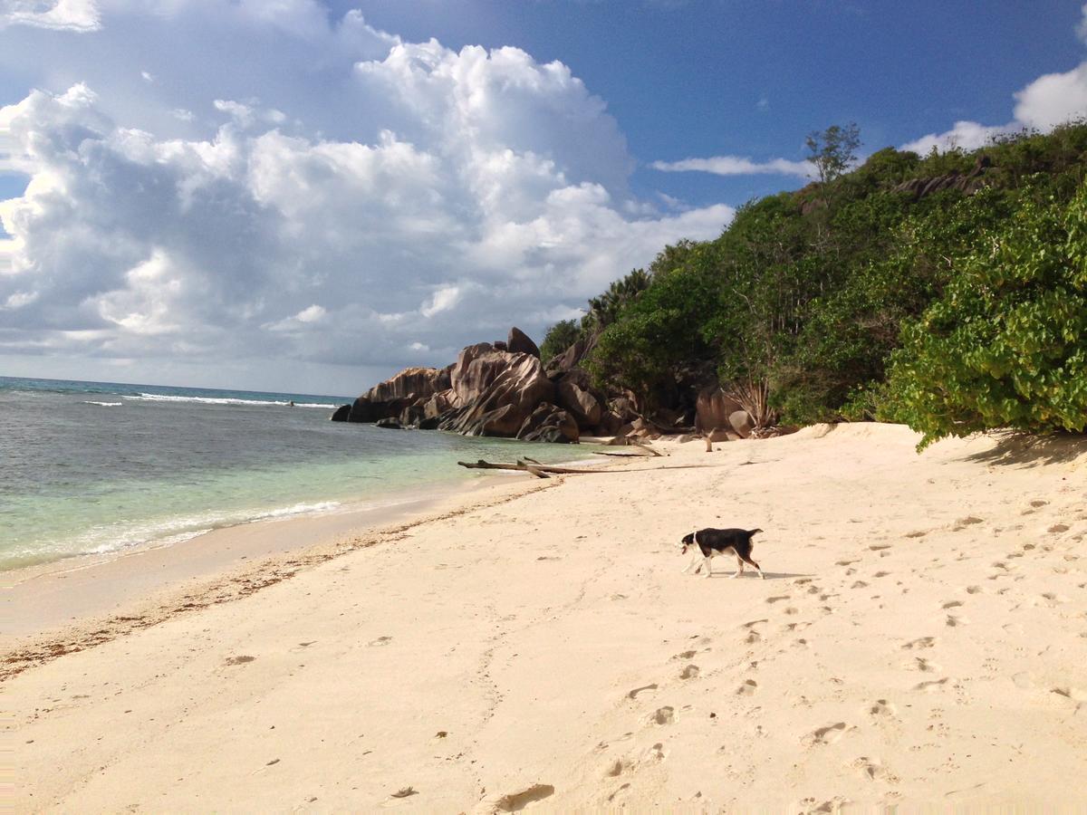 Villas Du Voyageur Grand Anse  Luaran gambar