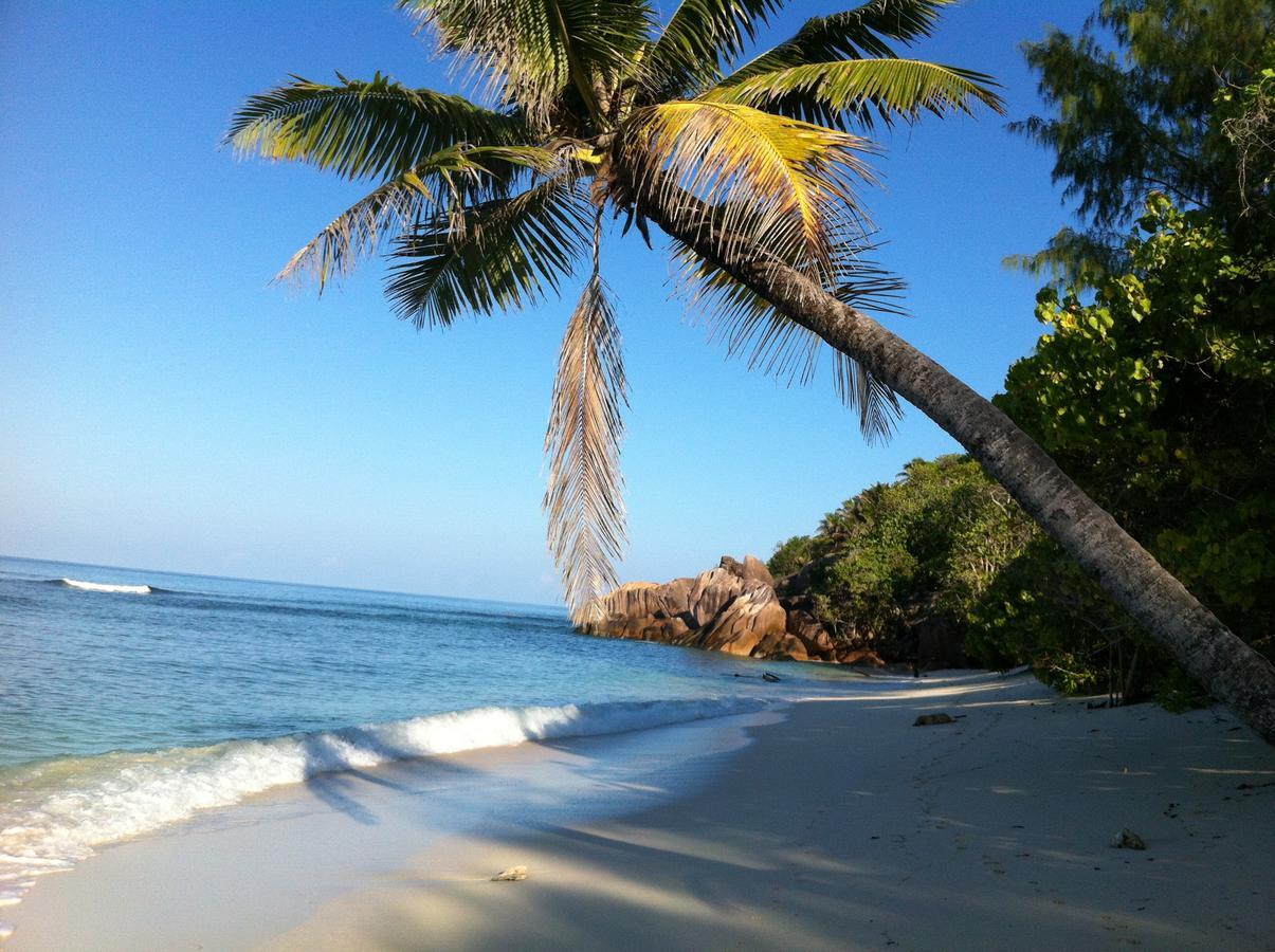 Villas Du Voyageur Grand Anse  Luaran gambar