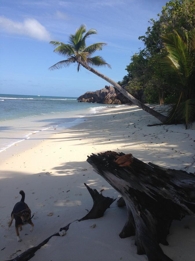 Villas Du Voyageur Grand Anse  Luaran gambar